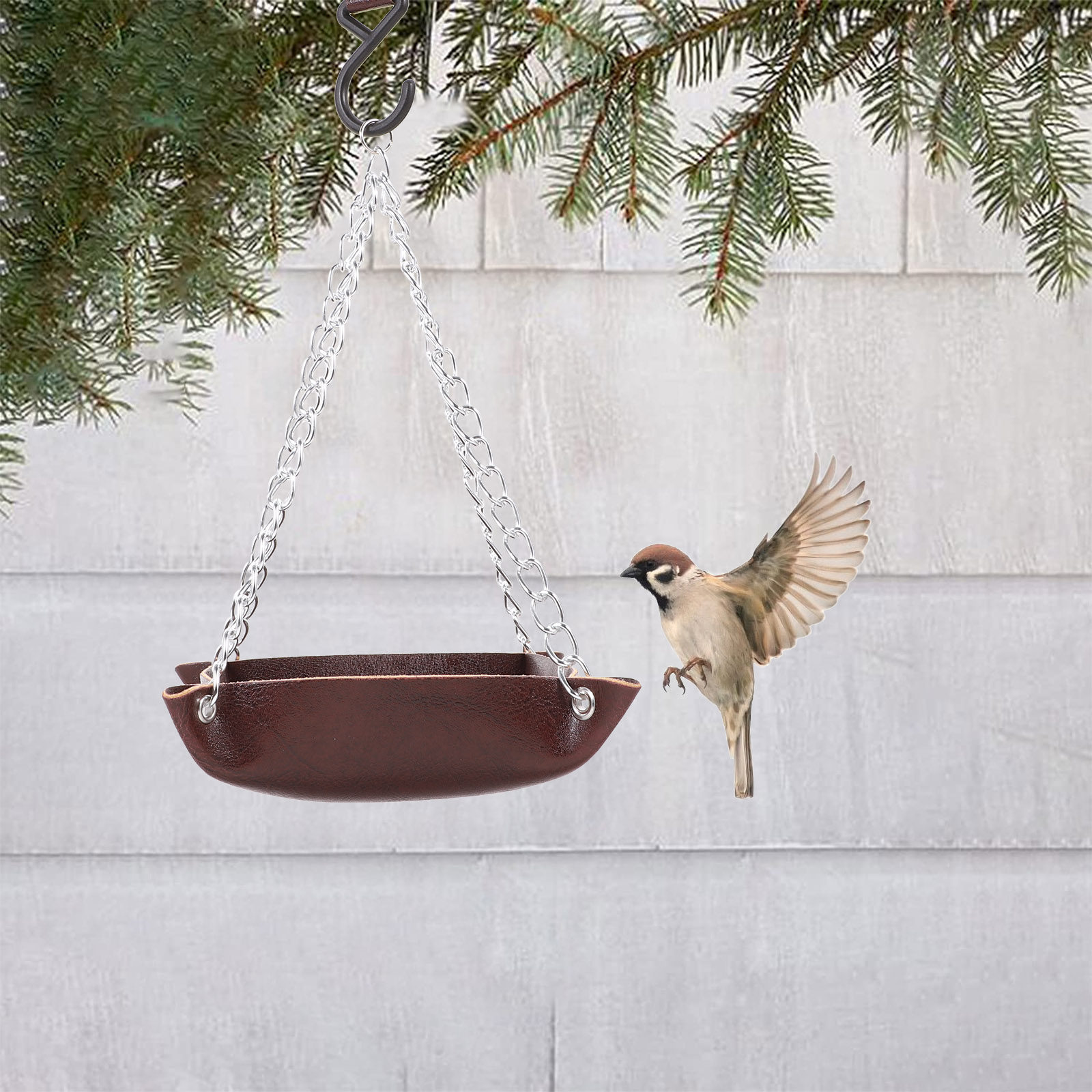 Vogelvoeder, transparant, duur - Feeding recensie en prijs