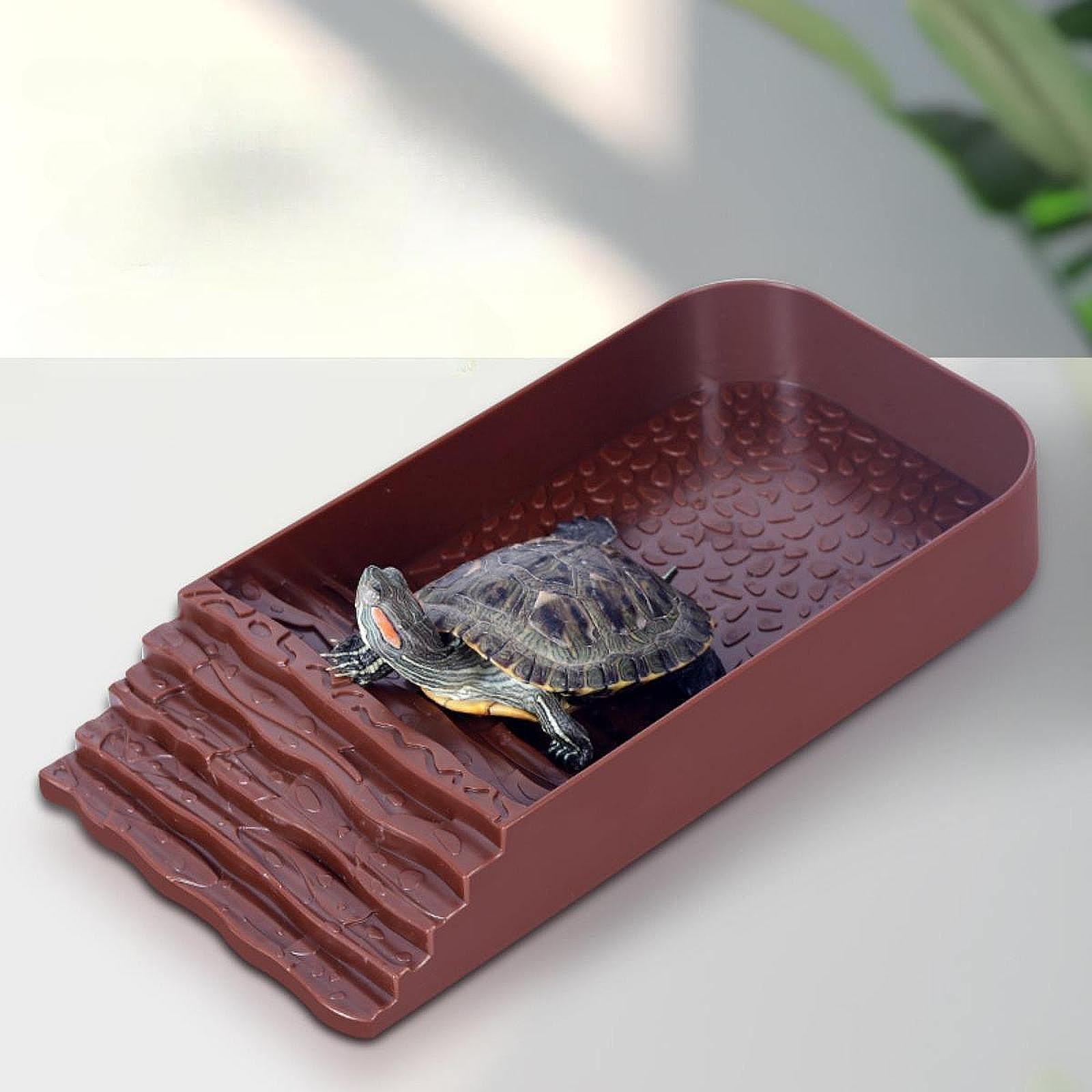 Grote schildpadwaterbak, repti - Feeding recensie en prijs